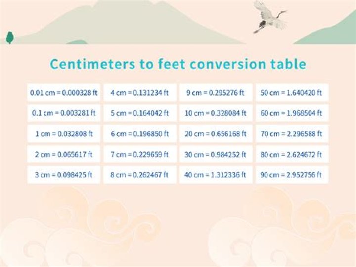310 cm to feet and inches